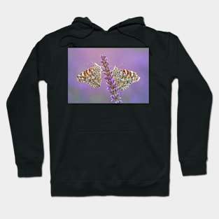 Two Painted Lady Butterflies on a Lavender Flower Hoodie